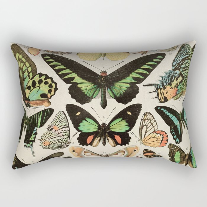 Papillon II Vintage French Butterfly Chart by Adolphe Millot Rectangular Pillow