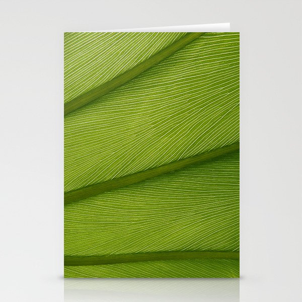 Green Leaf Texture 05 Stationery Cards | Nature, Photography, Pattern
