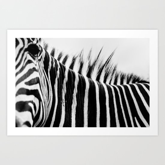 Zebra Stripes & Back Art Print