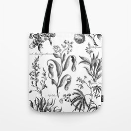 Antique Nepenthes and Drosera Print from 1757 Tote Bag
