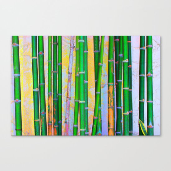 Bamboo Forest Canvas Print