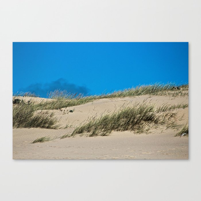 Sand Dune Beach Coastal Landscape Canvas Print