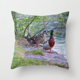 Ducks in Love Throw Pillow