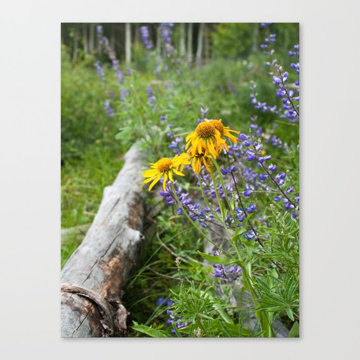 Flowers and Log, Utah Canvas Print