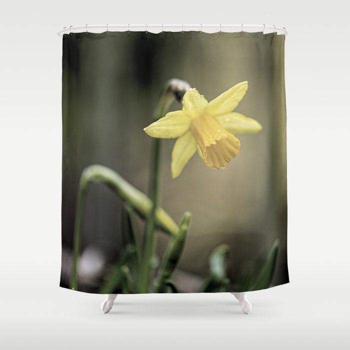 Daffodil IV Shower Curtain