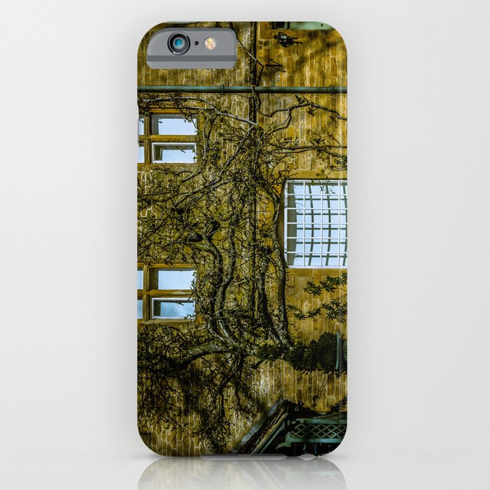 Windows on a Cotswold Square House with Vine and Shadow England iPhone Case
