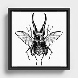 beetle Framed Canvas