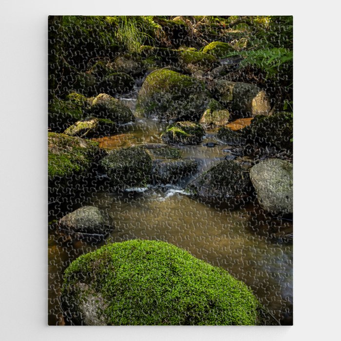 Forest Creek Jigsaw Puzzle