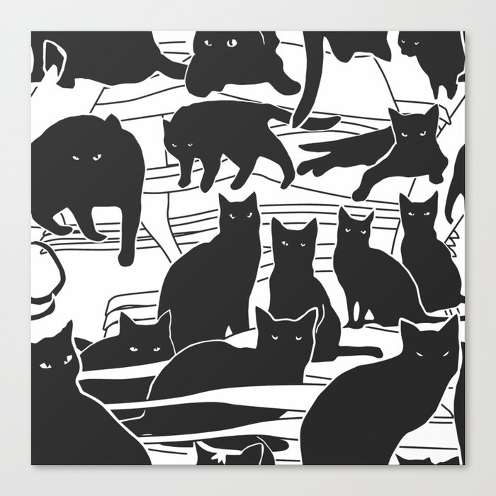 Black cats Canvas Print