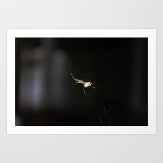 Spider Art Print
