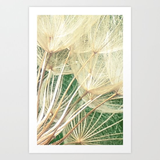 Beauty Within Art Print