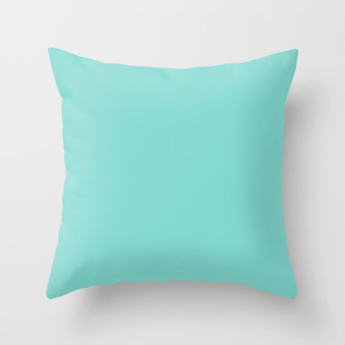 Tiffany blue hot sale decorative pillows