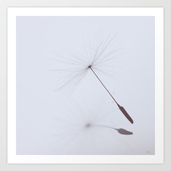Reflect Art Print