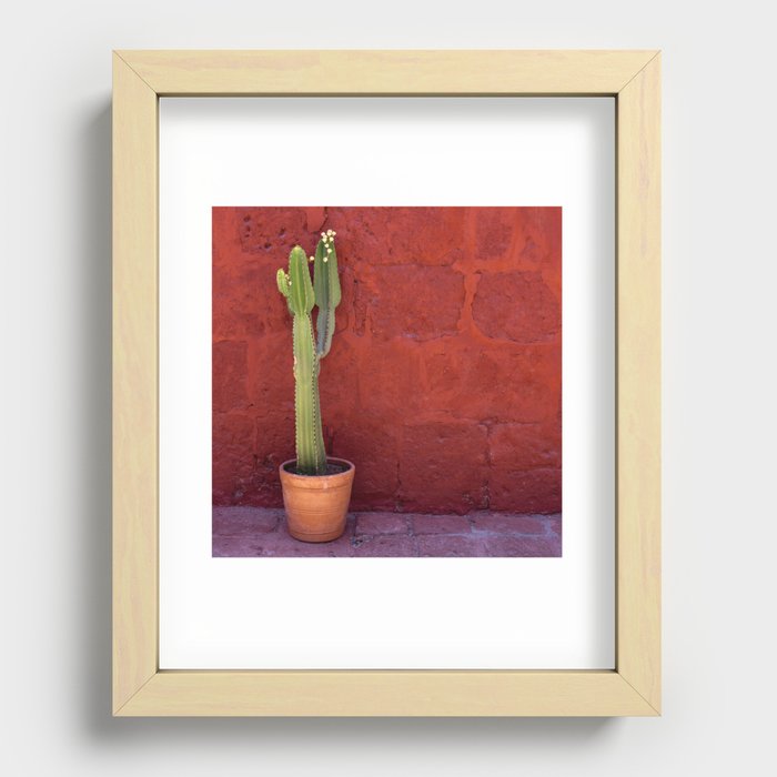 Mexico Photography - Small Cactus In Front Of A Red Brick Wall Recessed Framed Print