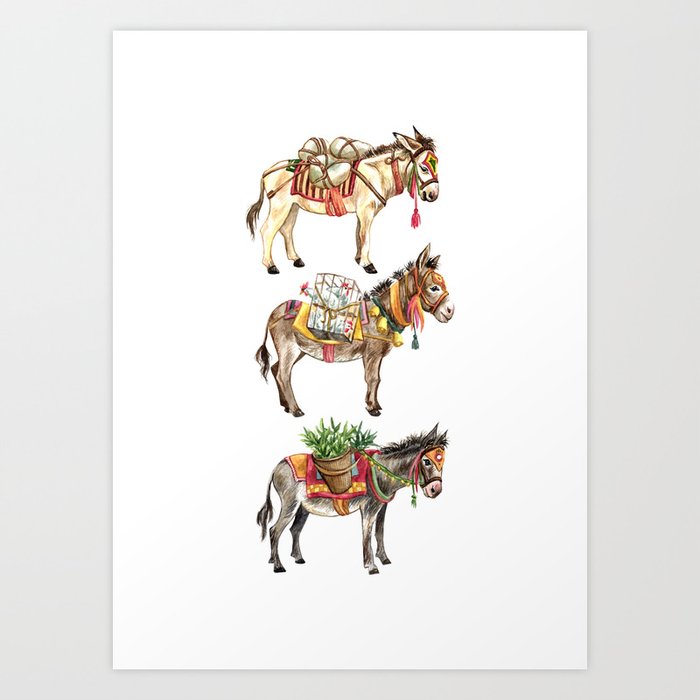 Nepal Donkeys Art Print
