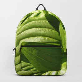 Hosta Backpack | Croatia, Zeleno, Bitifoto, Photo, Hosta 