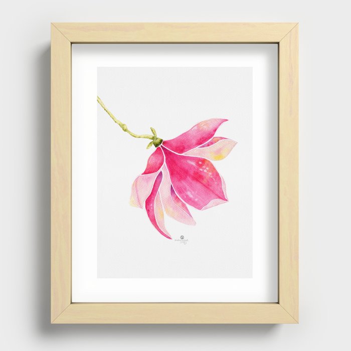 Magnolia Pink Recessed Framed Print