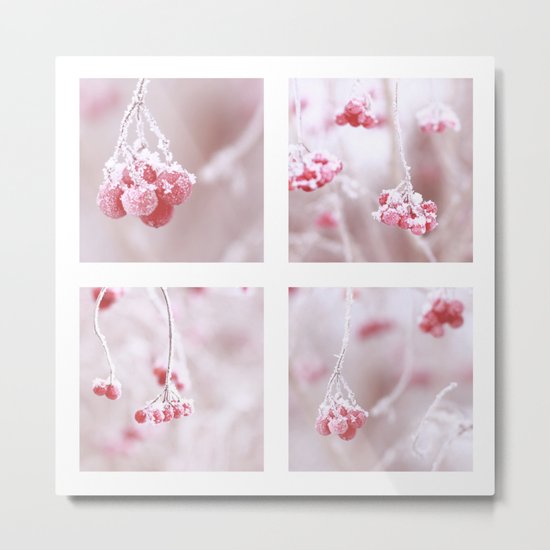 Red Berries Quadro Metal Print