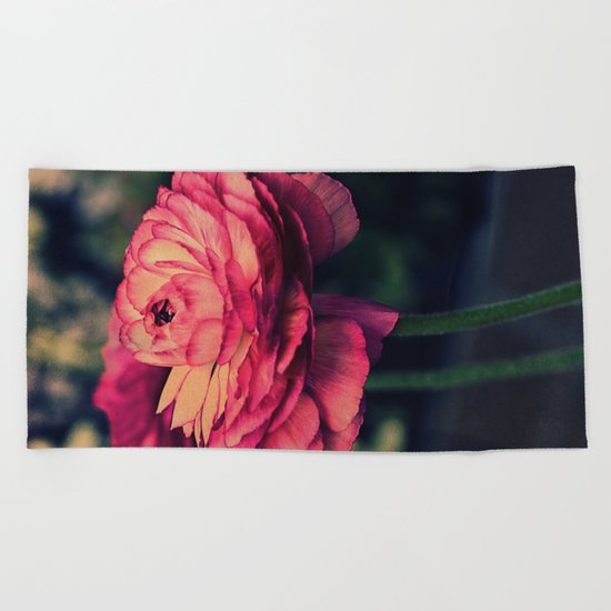 Vintage Ranunculus (10) Beach Towel