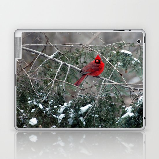 Winter Cardinal Laptop & iPad Skin