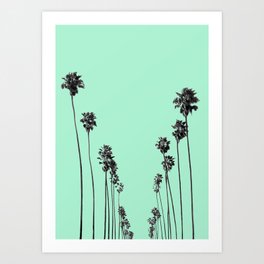 Palm Trees 9 Art Print