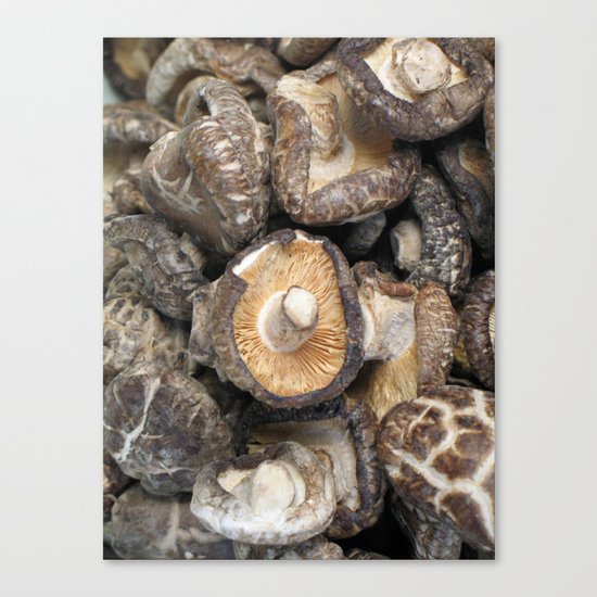 mushrooooms Canvas Print