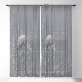 Great Egret Four B & W - Utah Sheer Curtain