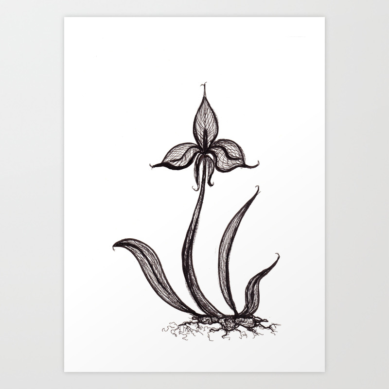 Black Ink Orchid Flower Art Print By Silivanas Society6