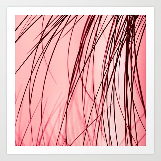 reed I Art Print