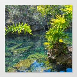 Mexico Photography - Beautiful Oasis In The Mexican Nature Canvas Print
