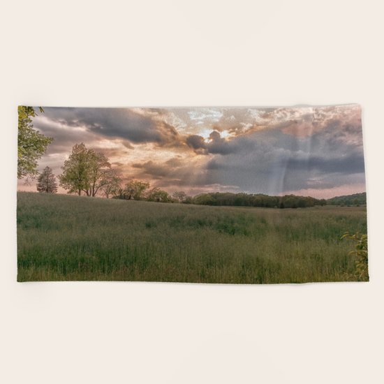 Summer field Beach Towel