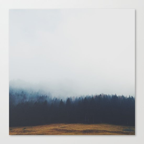 Dreary Landscape forest Canvas Print