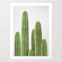 Cactus 2 Art Print