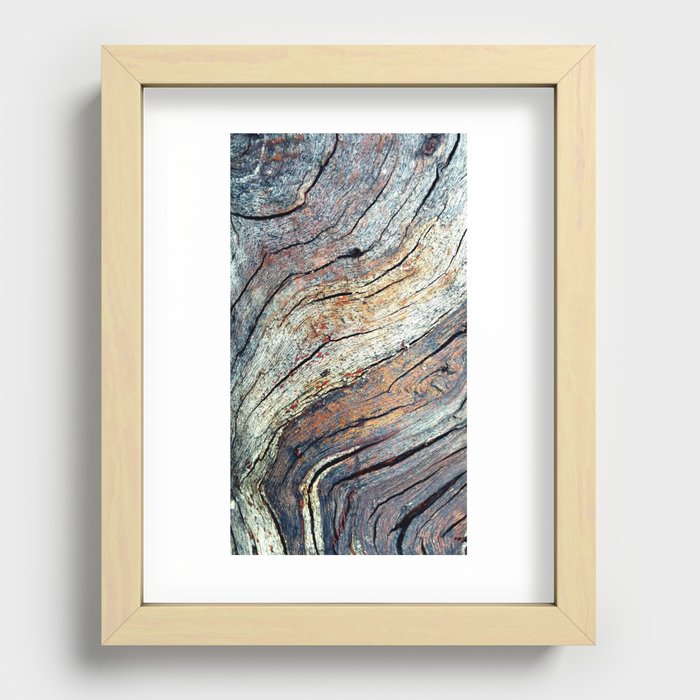 The Colours of the Trees Recessed Framed Print