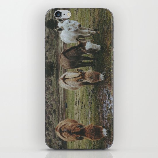 Miniature Donkeys iPhone & iPod Skin