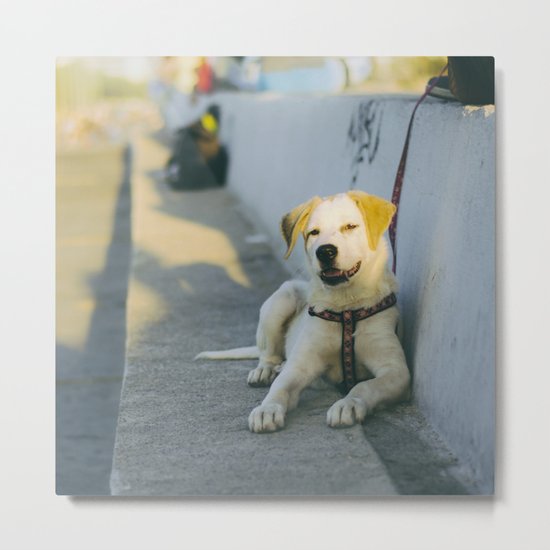 Woof! Metal Print