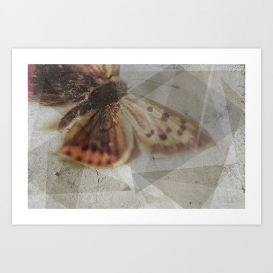 butterfly Art Print