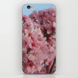 Cherry Tree iPhone Skin