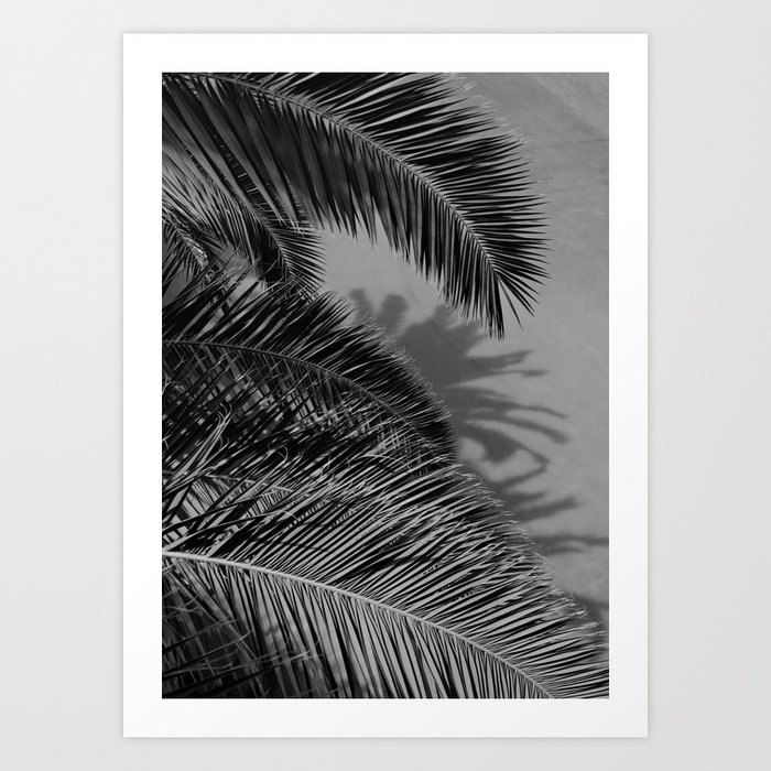Monochrome Tropical Palm Leaf Shadow Art Print
