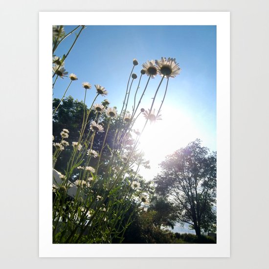 Bright Daisy Garden 4 Art Print