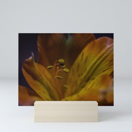 Sunrise Blossoms Mini Art Print