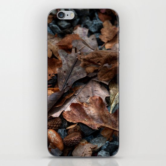 The Mighty Oak iPhone & iPod Skin