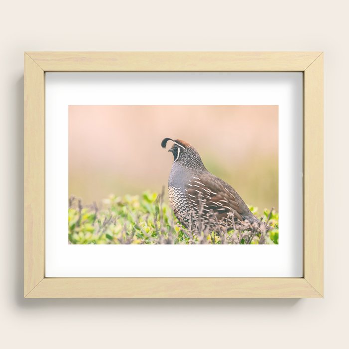 Recessed Framed Print