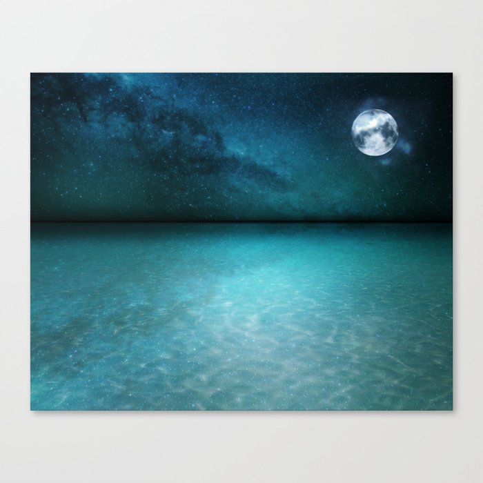 Night Swimming Canvas Print