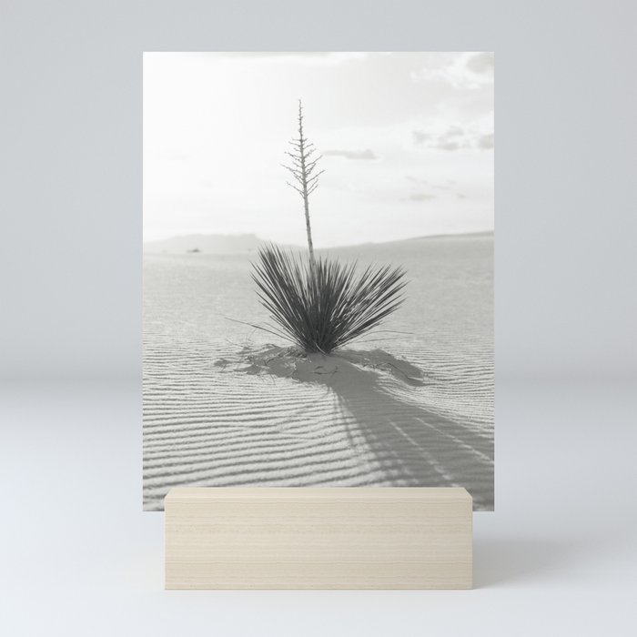 White Sands Plants - Black and White Photography Mini Art Print