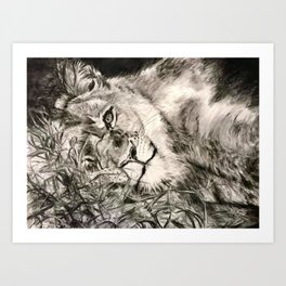 Lion 7 Art Print