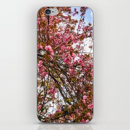 New York City cherry blossom iPhone Skin