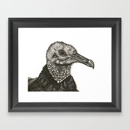 Black Vulture Framed Art Print