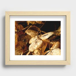 Autumn Hydrangea Recessed Framed Print