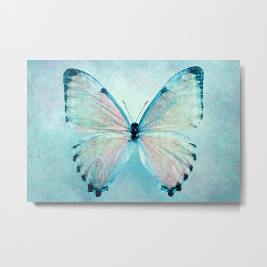 blue butterfly Metal Print
